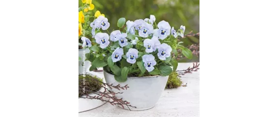 10 IDEEN ZUM VALENTINSTAG