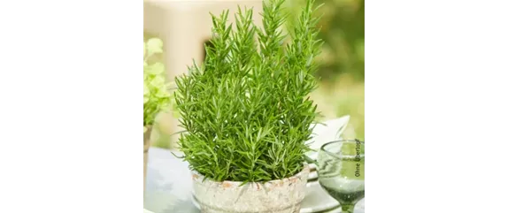 10 IDEEN ZUM VALENTINSTAG