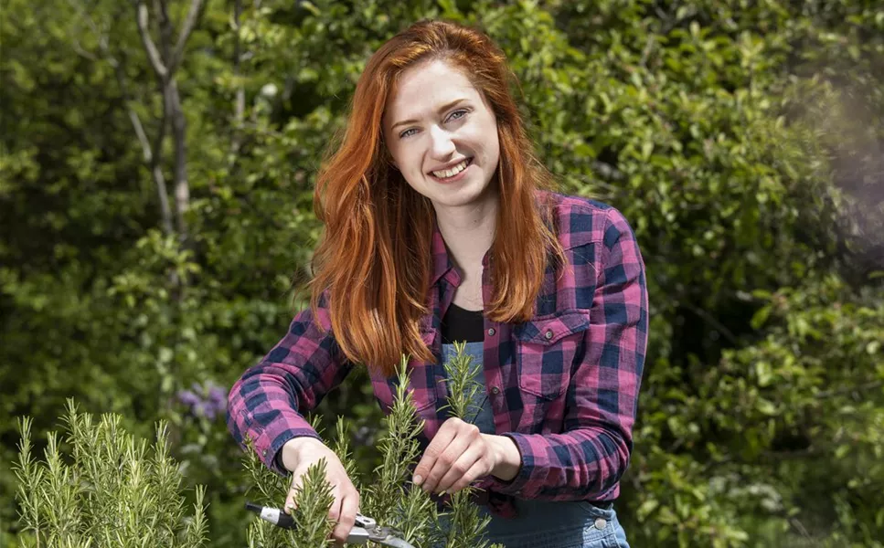 Videos - Alles rund um's Thema Pflanze Videos - Alles rund um's Thema Pflanze