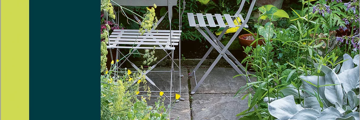 Buch des Monats: Mai!