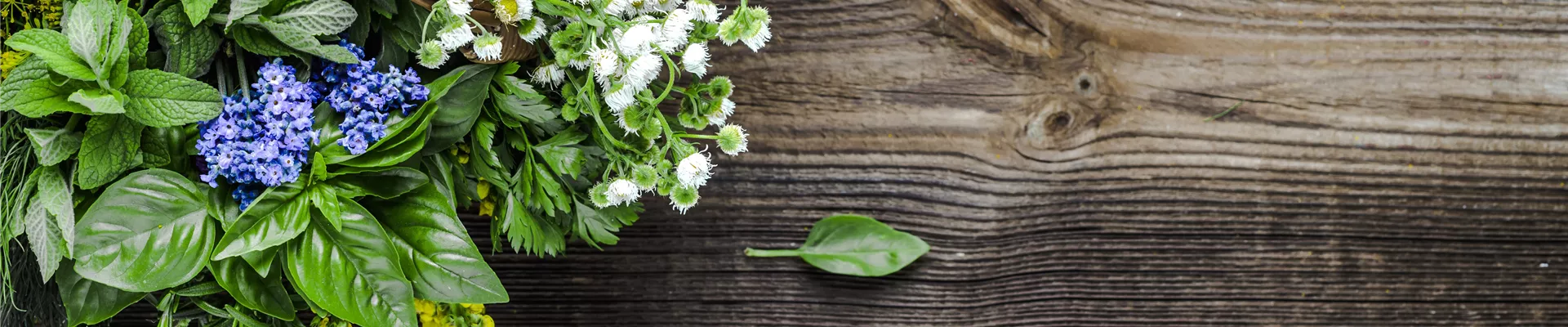 Buch des Monats: Juni!