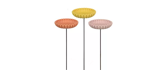 SOMMERLICHE BLÜTENPRACHT!