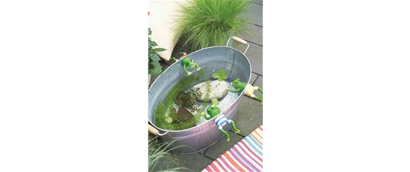 URLAUB AUF DEM BALKON! 