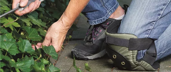 SOMMER IM STAUDENGARTEN!