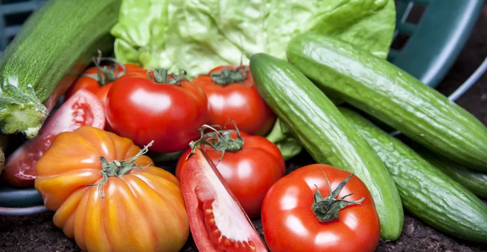 ERNTEDANKFEST  ERNTEDANKFEST