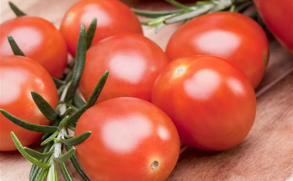 Nutzgarten - Leckereien aus dem Garten! Nutzgarten - Leckereien aus dem Garten!
