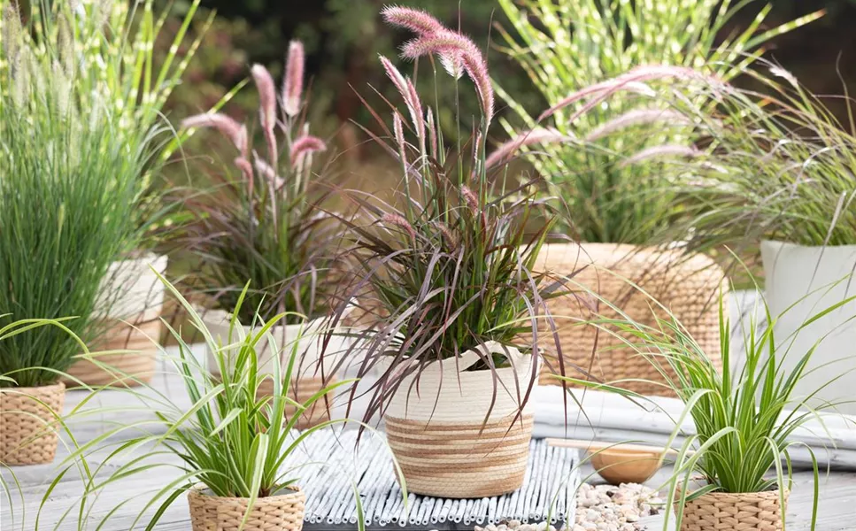 Aussen - Pflanzegefäße für den Garten! Aussen - Pflanzegefäße für den Garten!