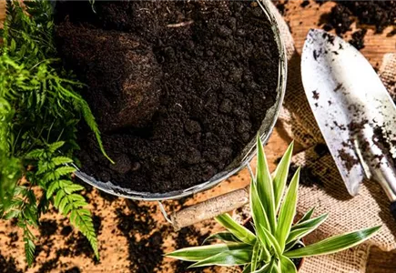 Erde und Dünger Erde und Dünger