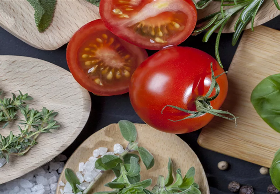 JETZT WIRD GEGRILLT! JETZT WIRD GEGRILLT!