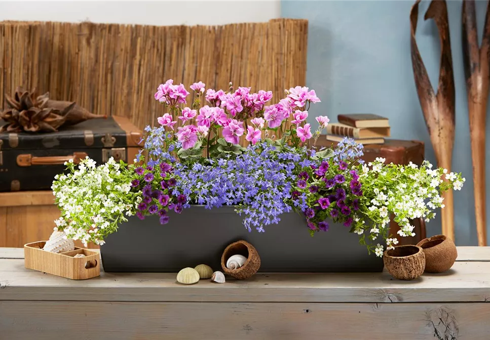 DIE SCHÖNSTEN BALKONKÄSTEN! DIE SCHÖNSTEN BALKONKÄSTEN!