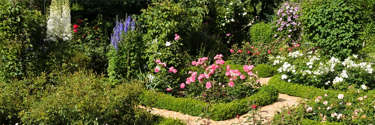 ROSEN & IHRE BEGLEITER!