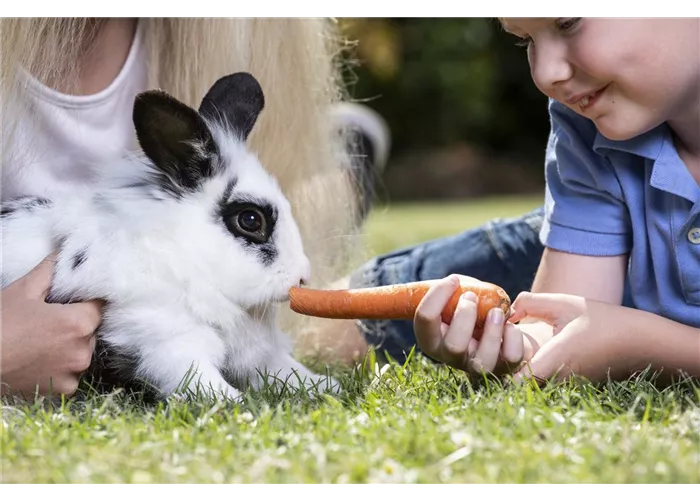 Kleintiere als Verantwortung für Kinder Kleintiere als Verantwortung für Kinder