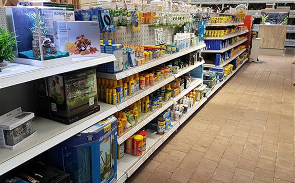 Aquarianer aufgepasst! - Abteilung Aquaristik Aquarianer aufgepasst! - Abteilung Aquaristik