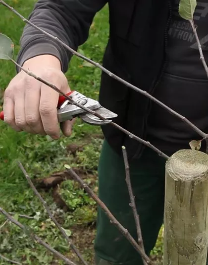 OKTOBER - JETZT GIBT ES NOCH MAL VIEL ZU TUN! OKTOBER - JETZT GIBT ES NOCH MAL VIEL ZU TUN!