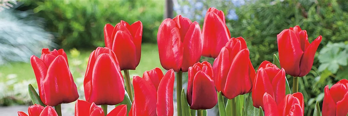 VORSORGEN MIT VORFREUDE.