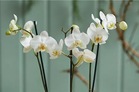 MODERNE WEIHNACHTEN! 