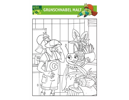 Grünschnabel Malvorlage 1 25 Grünschnabel Malvorlage 1 25