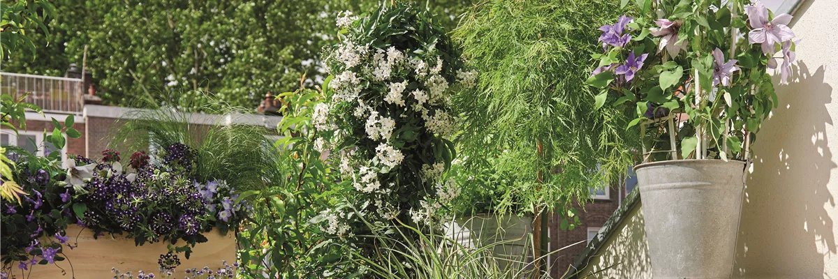 BLüHENDES MAKE OVER!