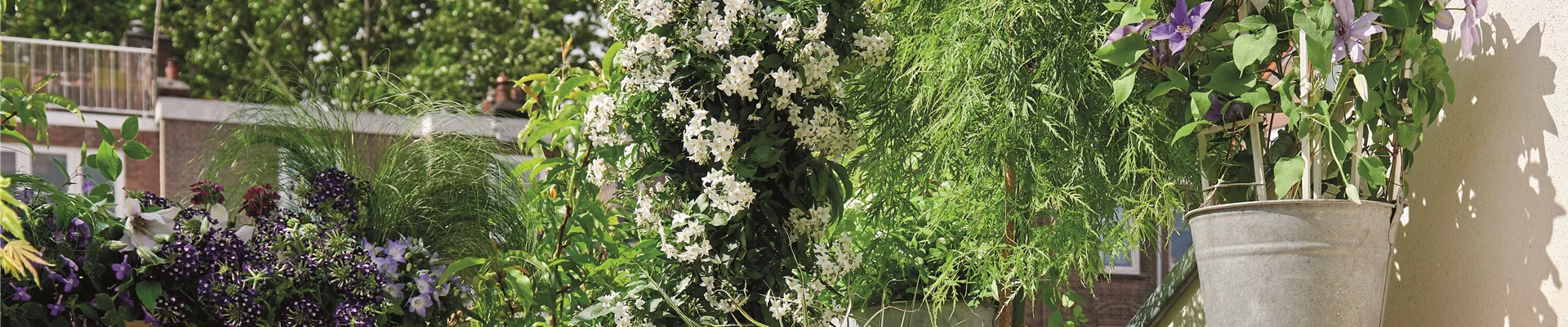 BLüHENDES MAKE OVER!