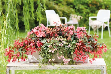 IM TREND: BALKON!