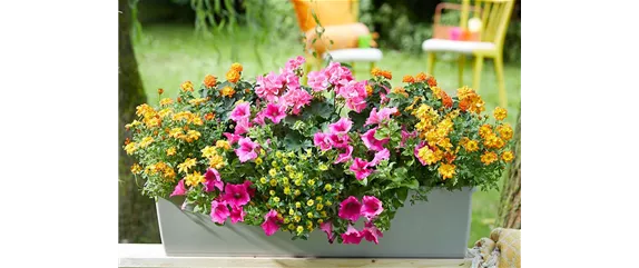 IM TREND: BALKON!